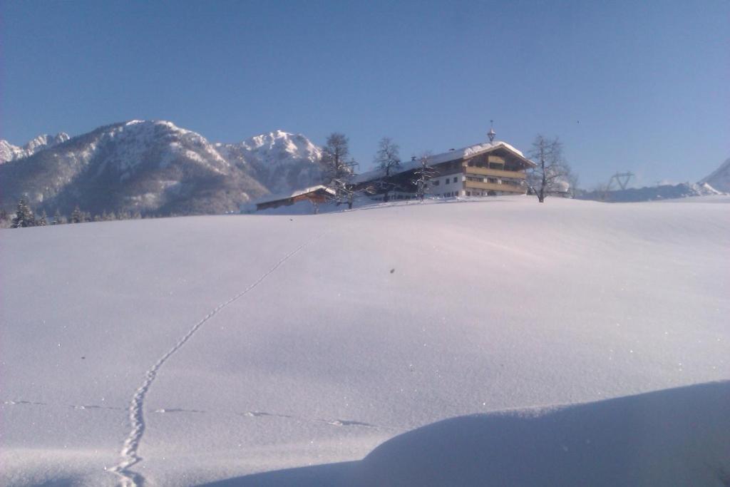 Appartement Seebacher Hochfilzen Exterior foto